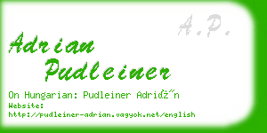 adrian pudleiner business card